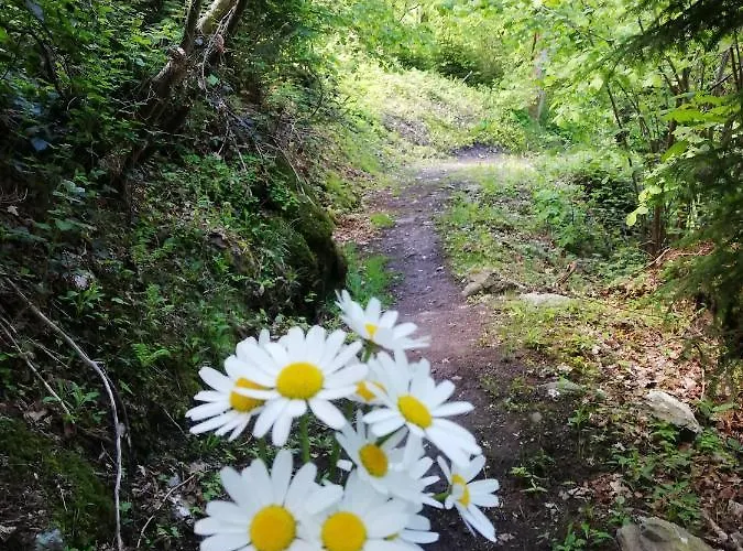 Ihaeusl * Aschau Im Zillertal