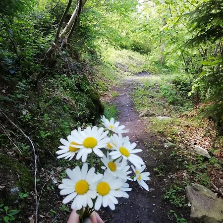 Ihaeusl * Aschau Im Zillertal